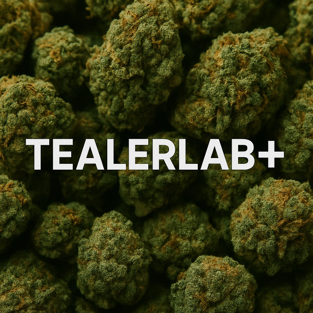 Meilleure fleur CBD : comment choisir une vraie qualité premium ?