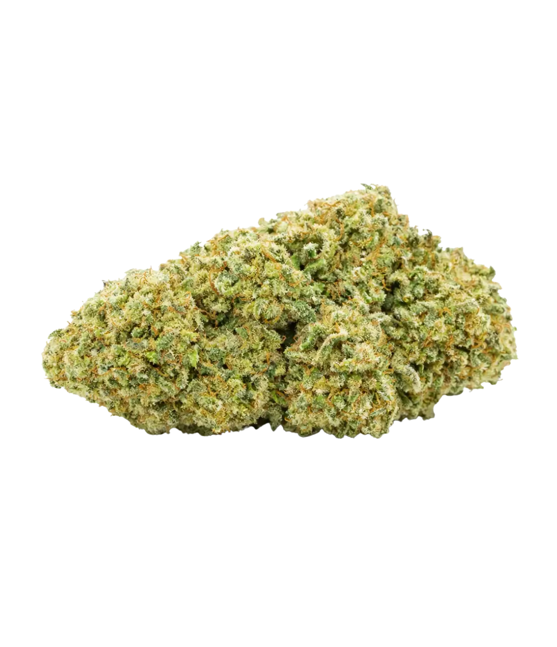 Bruce Banner 💪  💪  💪