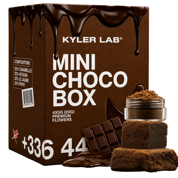 MINI CHOCO 20G BOX CBD 🍩