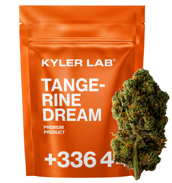 Tangerine Dream 🍊