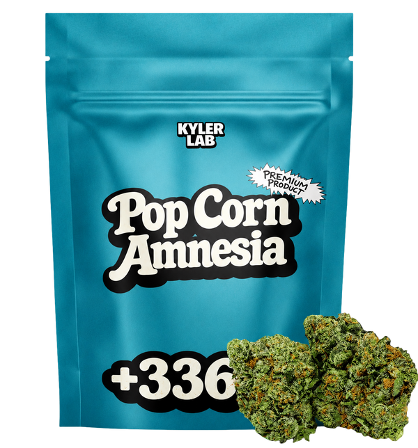 Pop Corn Amnesia - Fleur CBD 🍿