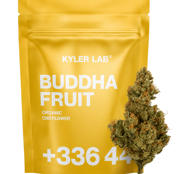 Buddha Fruit - Fleur CBD 🧘