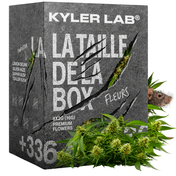 BOX DU RAT 20G FLEURS CBD 🐭