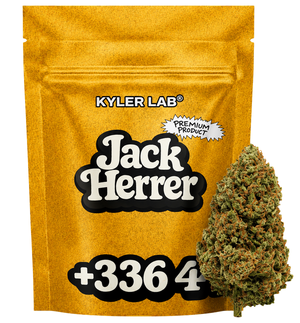 Jack Herrer CBD