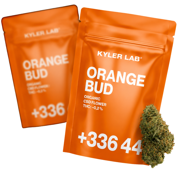 Orange Bud - Fleur CBD