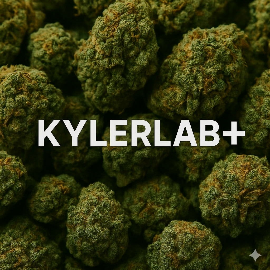 KYLER LAB+