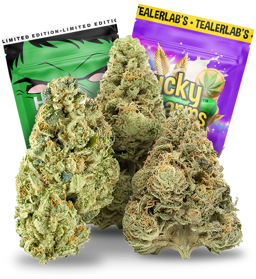 LE CBD+