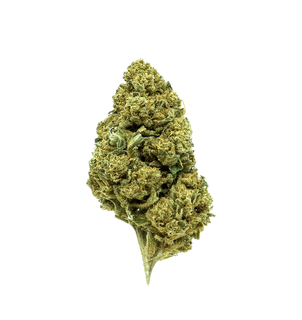 Cookie Kush CBD