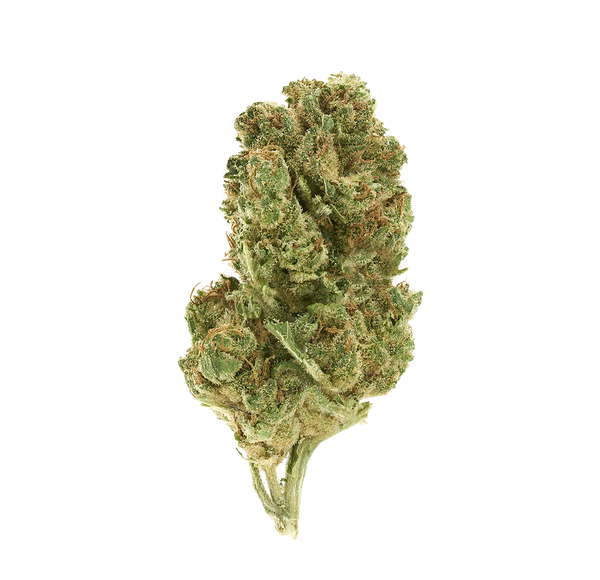 Summer Haze - Fleur CBD🇫🇷