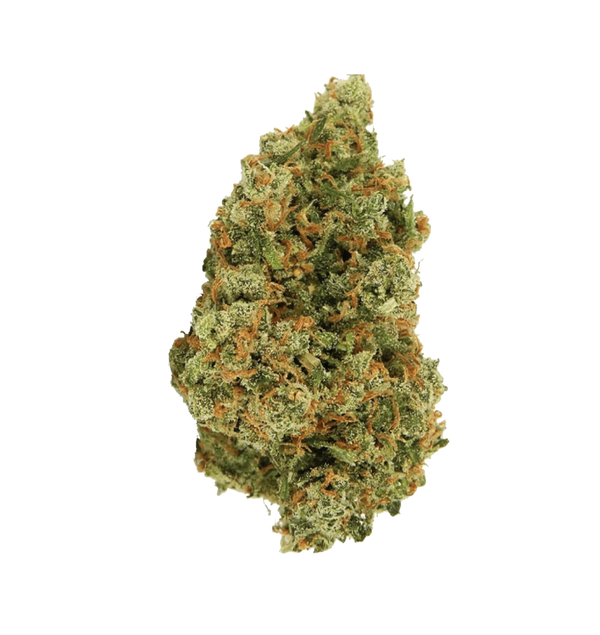 Jack Herrer CBD